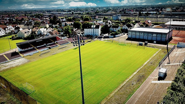 东契奇不仅 东契奇不仅